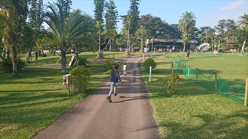 10日・東南植物楽園の光の散歩道！